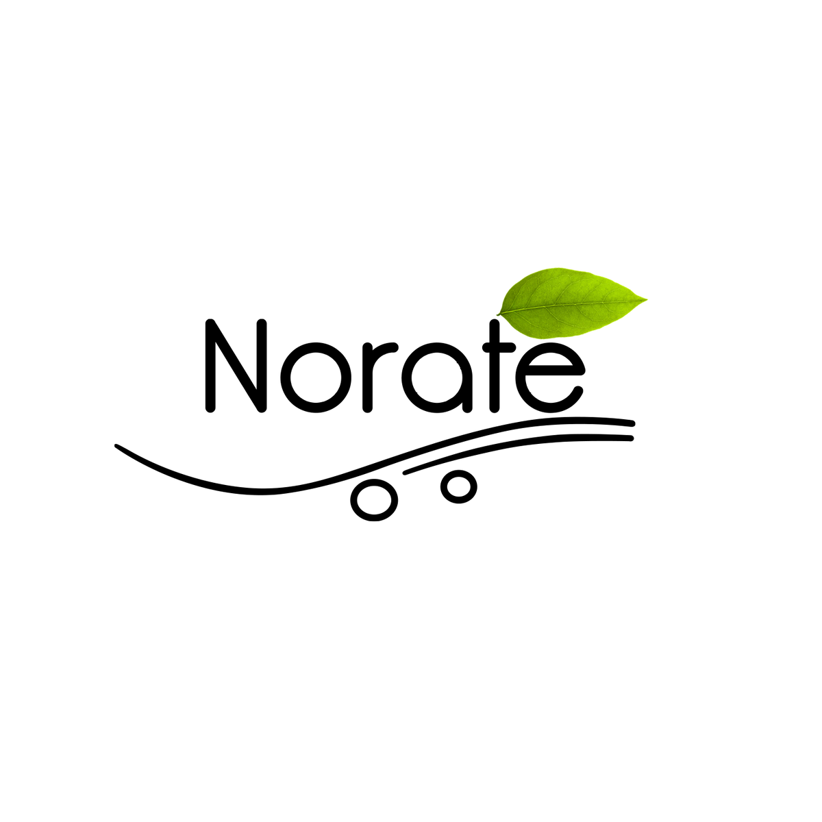 主页